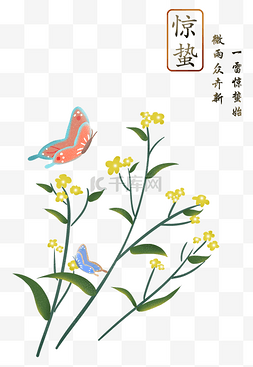 春天与花图片_惊蛰春天二十四节气油菜花与蝴蝶