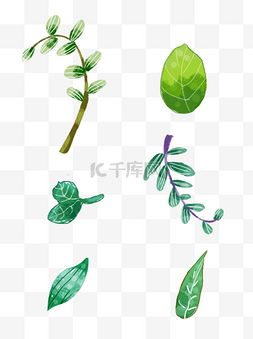 植物秋叶子手绘插画可商用元素