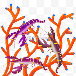 虾虾米珊瑚