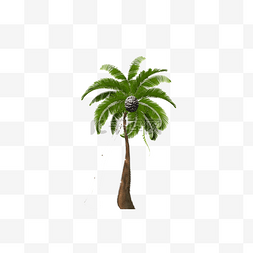 海边大椰树图片_矢量绿色海滩椰树