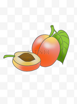桃叶桃子图片_手绘水果桃子插画可商用元素