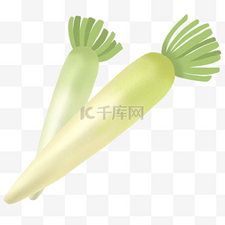 蔬菜白色萝卜