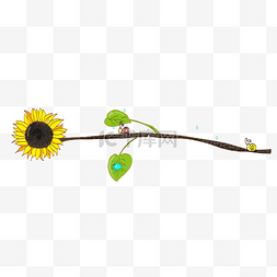 分割线手绘叶子图片_手绘向日葵分割线