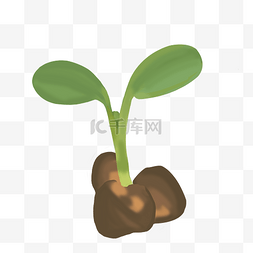 土壤png图片_棕色土壤植物发芽插画