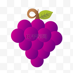简约好吃的紫葡萄