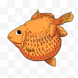 黄色鱼类图片_美丽鱼类可爱金鱼珍珠鳞