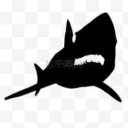 鲨鱼剪影剪影图片_剪影鲨鱼