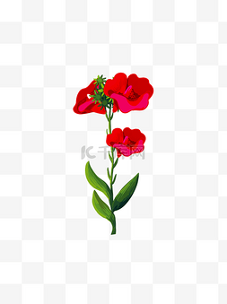 写实卡通植物红色喇叭花卉