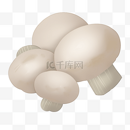 创意蔬菜图片_创意白色口蘑插图装饰