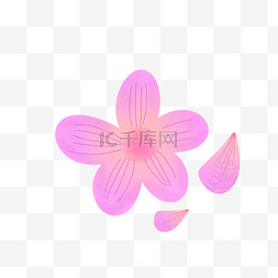 樱花花瓣插画图片_樱花花瓣插画PNG图片