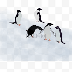 企鹅冬天手绘插画