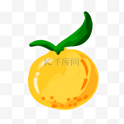 桔子橘子水果