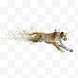 坐立的豹子图片_手绘水彩豹子插画