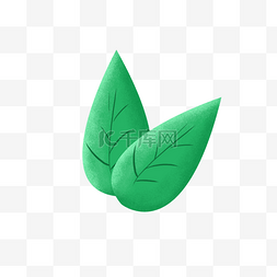 叶子logo图片_叶子纹路叶子图标