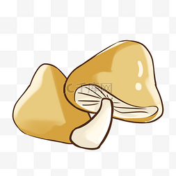秋季养生蘑菇插画