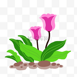 手绘卡通粉色花朵图片_粉色郁金香花朵植物