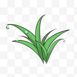 绿色植物手绘插画图片_绿色植物草手绘插画