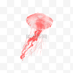 动感水彩图片_红色水母水彩绘画