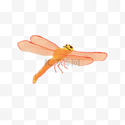 蜻蜓可爱图片_手绘夏季飞虫蜻蜓插画
