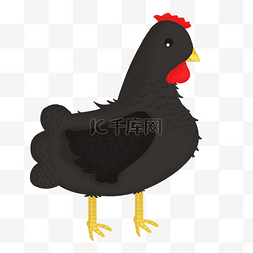 手绘黑色的母鸡插画