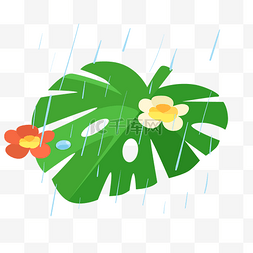 雨水绿叶小花