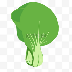 青菜蔬菜绿色