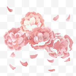 日本樱花花枝图片_日本樱花装饰插画