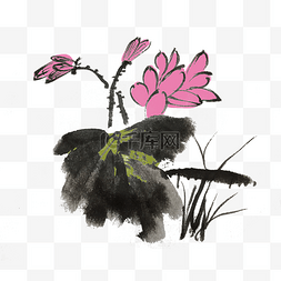 夏天出水芙蓉水墨风手绘插画