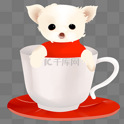 白色茶杯犬图片_可爱的茶杯犬手绘插画