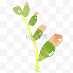 植物枝杆图片_绿色新鲜叶子 