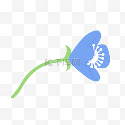 一朵可爱的蓝色小花