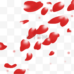 红色的花瓣手绘插画