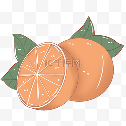 桔子橘色圆形