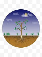 卡通植物元素树草土层断面剖面月亮