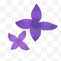 紫色唯美芳香花朵