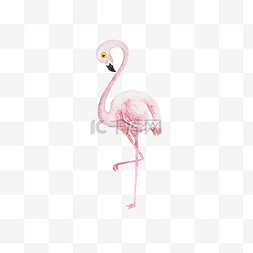 粉色的鸟图片_水彩粉色正在舞蹈的火烈鸟