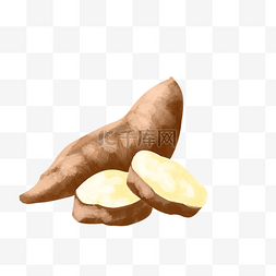 黄色的白薯手绘插画
