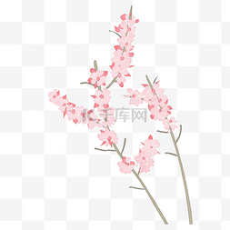 樱花树插画图片_粉色樱花插画装饰