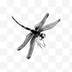 水墨飞翔的蜻蜓插画