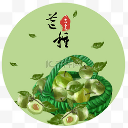 二十四节气芒种手绘青梅插画