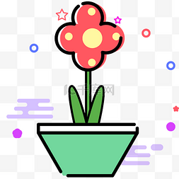  花朵植物 