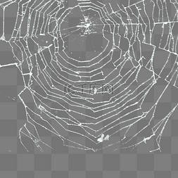 恐怖蛛丝蜘蛛网元素