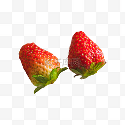 草莓植物树叶图片_两颗草莓实拍免抠