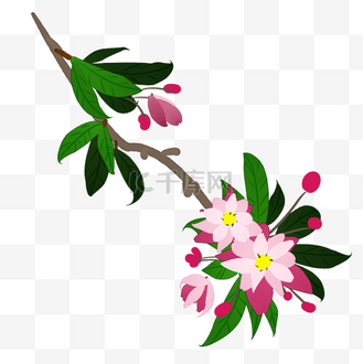 手绘海棠花装饰图