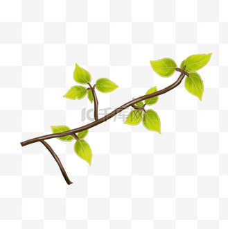 手绘树枝png素材