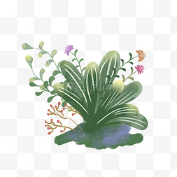 春天绿色植物插画图片_春天绿色植物叶片PNG