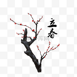 红色树枝免扣素材图片_立春节气红梅树枝手绘中国风插画