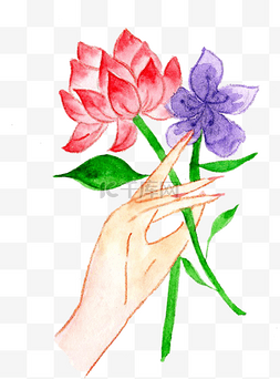 手绘水彩花朵插画
