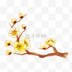 卡通手绘黄色花朵图片_水彩手绘黄色腊梅