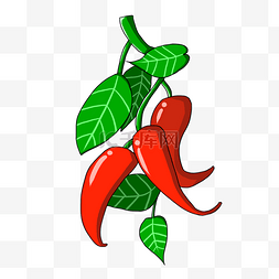 辣椒生长种植蔬菜调味料红色